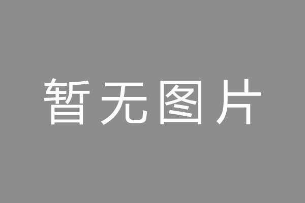 董业丽    会计师